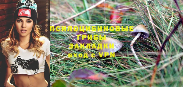 дмт Балахна