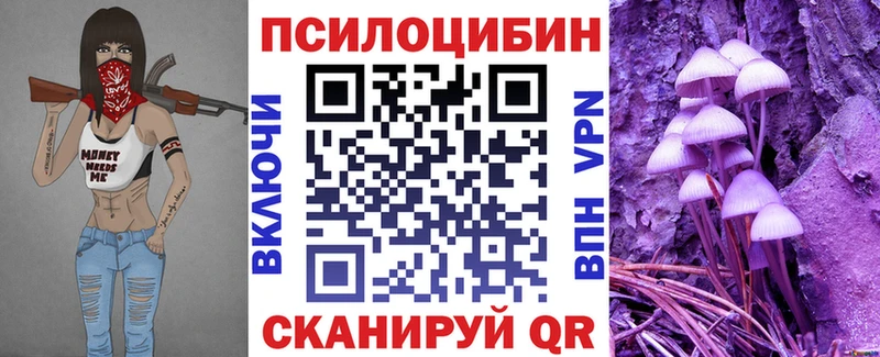 Галлюциногенные грибы Psilocybine cubensis  Лаишево 